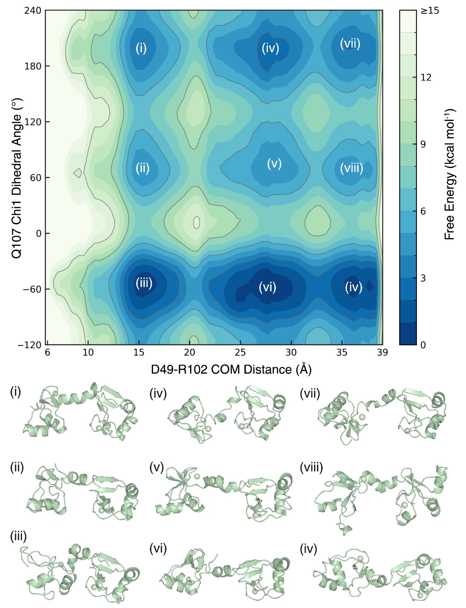 Free energy surface of HPV-16 E6 with representative conformations